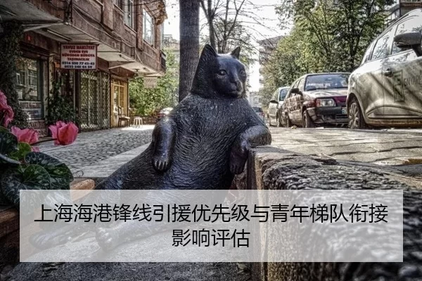 上海海港锋线引援优先级与青年梯队衔接影响评估